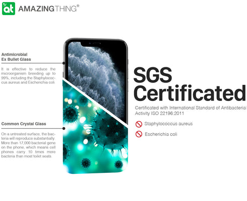 Amazing Thing iPhone 11 Pro MAX and iPhone XS MAX Tempered Glass Screen Protector