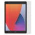 Amazing Thing iPad 10.2" (2020/2019) Tempered Glass Screen Protector Matte Game Pro